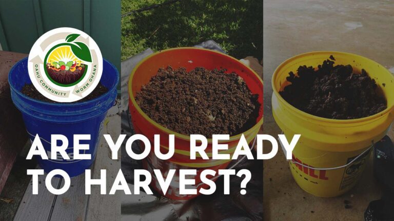 Are You Ready To Harvest?