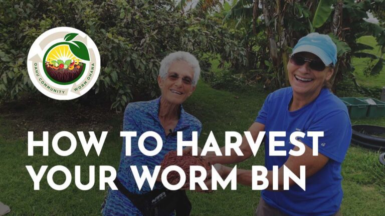 How to Harvest Your Worm Bin
