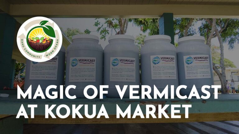 Magic of Vermicast at Kokua Market