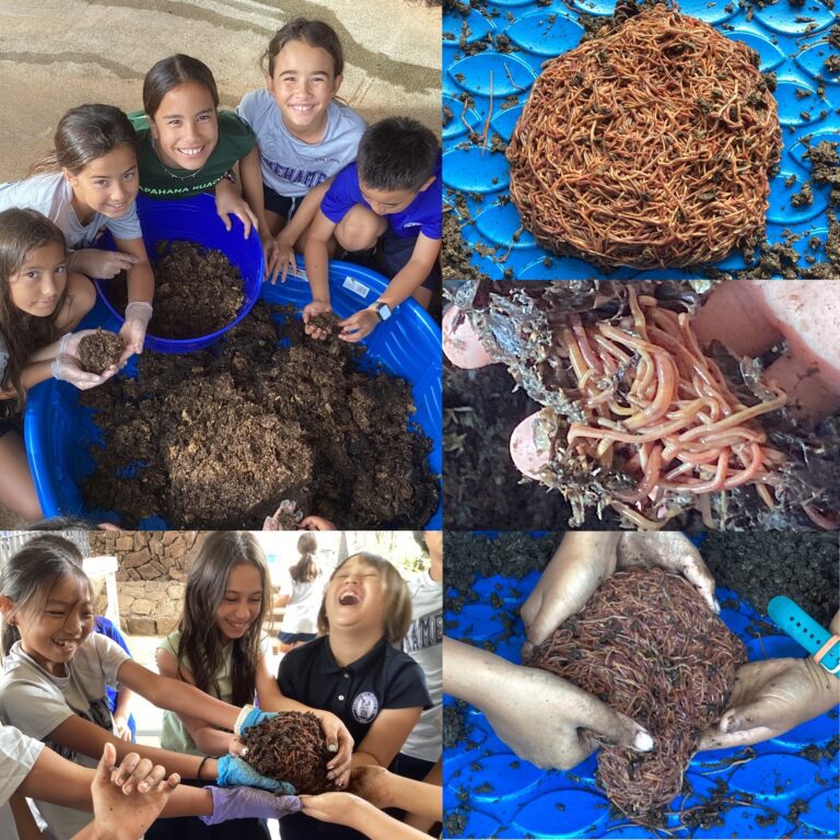 Worm Ohana - Learn to vermicompost using composting worms Hawaii